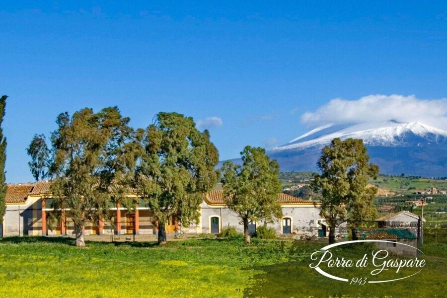 Catania: Pozzo di Gaspare Farm Guided Tour with Tastings - Blood-orange salad and a proper taste of Sicily