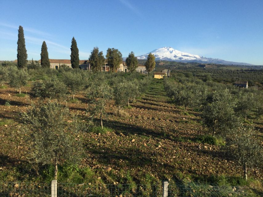 Catania: Pozzo di Gaspare Farm Guided Tour with Tastings - The value of $41 for two hours