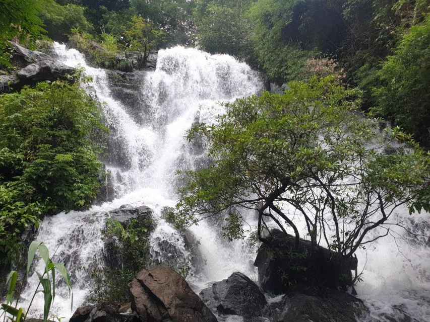 Cave Explore- Paradise Cave & Phong Nha Cave - Duck Farm - Who should take this cave tour
