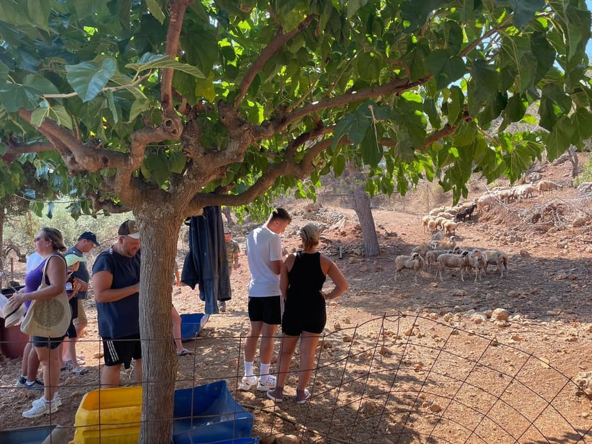 Chania Area: Cooking Class at a Farm in Stylos Village - The value of learning from family recipes