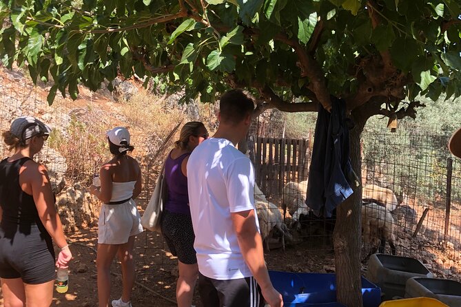 Chania Area: Cooking Class at a Farm in Stylos Village (organic) - The family and grandmother’s house