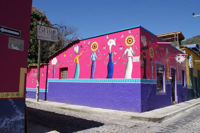 Chapala Lake & Ajijic Tour with "Tres Potrillos Ranch" - Ajijic, cobbled streets, and art shops