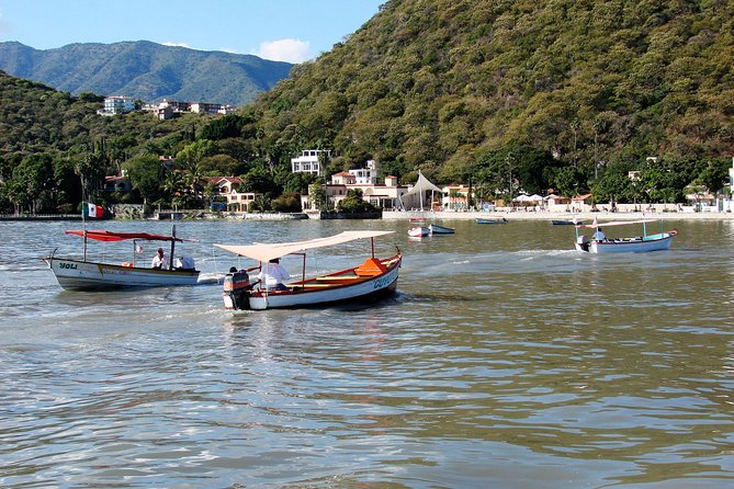 Chapala Lake & Ajijic Tour with "Tres Potrillos Ranch" - Who should book this Lake Chapala day trip?