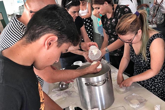 Cheesemaker for a day & visit to the dairy - Key points to know before you go