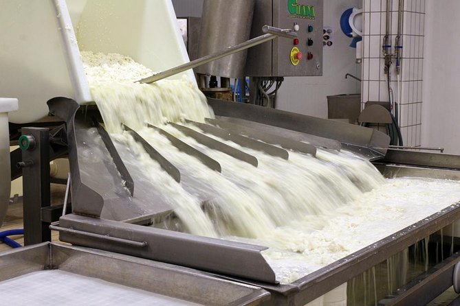 Cheesemaker for a day & visit to the dairy - Following the milk through the dairy