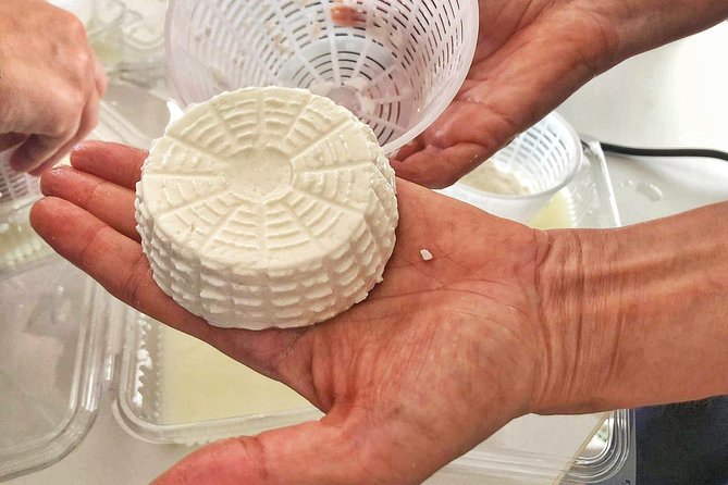 Cheesemaker for a day & visit to the dairy - The hands-on cheesemaking workshop