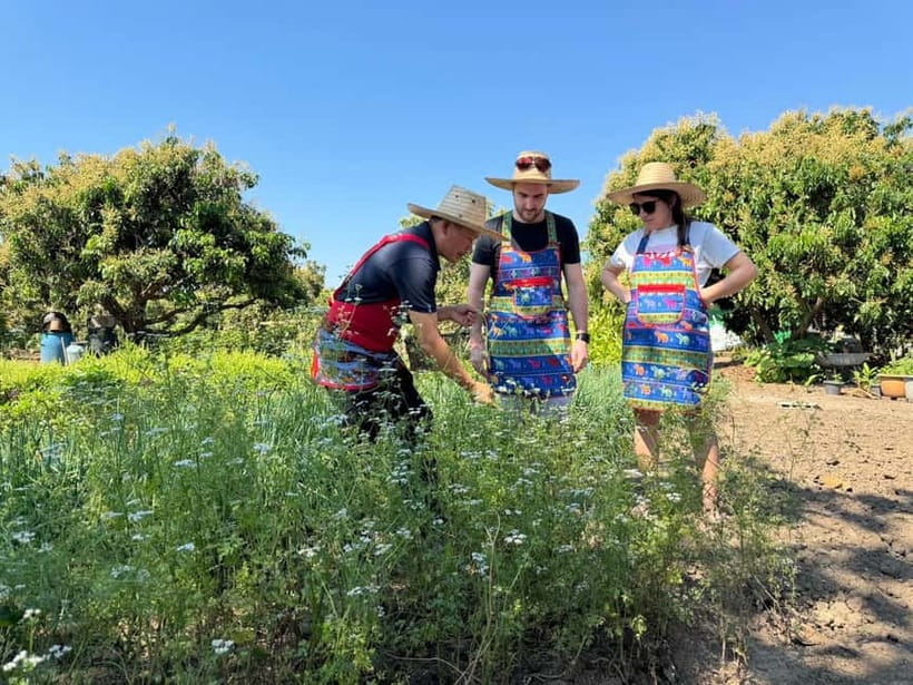 Chiang Mai : Cook in Farm, Market tour & Go by a Local Train - From Chiang Mai to Lamphun by local train