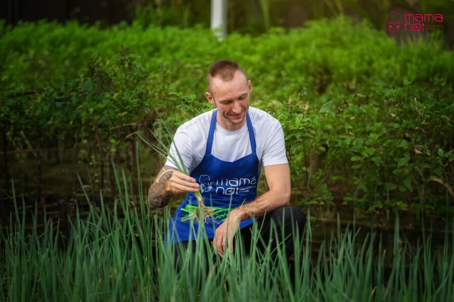 Chiang Mai: Cooking Class with Organic Farm at Mama Noi - Should you book this Chiang Mai cooking class?