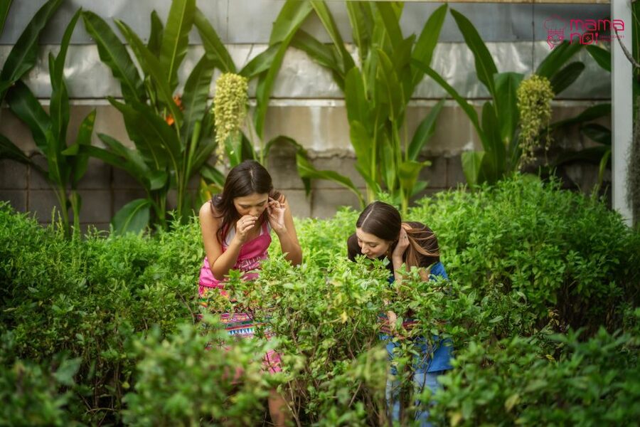 Chiang Mai: Cooking Class with Organic Farm at Mama Noi - What the $32 price includes