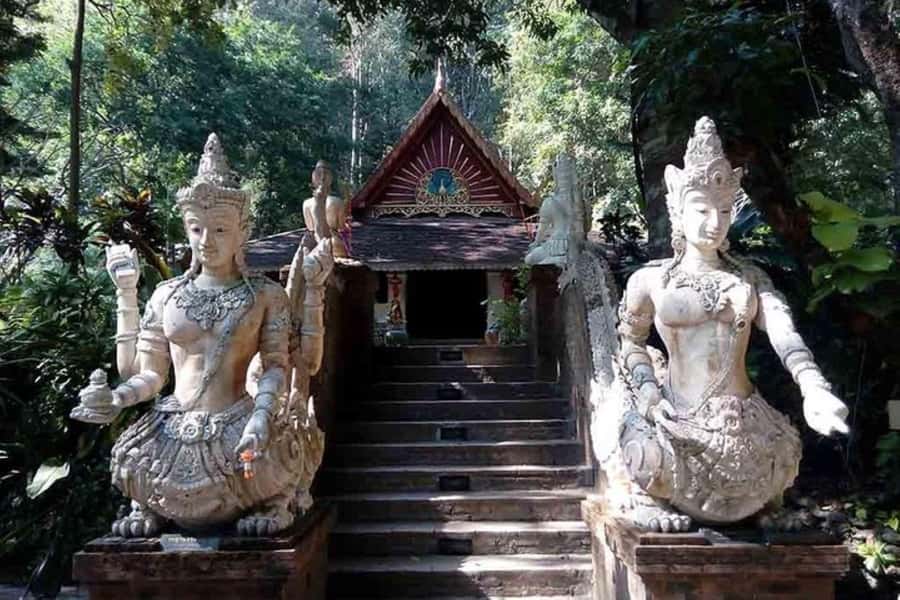 Chiang Mai: Doi Suthep, Orchid Farm and Waterfall with Lunch - Wat Doi Suthep, Chiang Mai’s famous hilltop temple