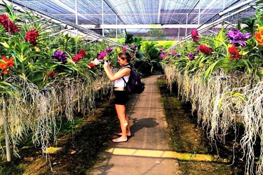 Chiang Mai: Doi Suthep, Orchid Farm and Waterfall with Lunch - Bua Thong Sticky Waterfalls, the active finale