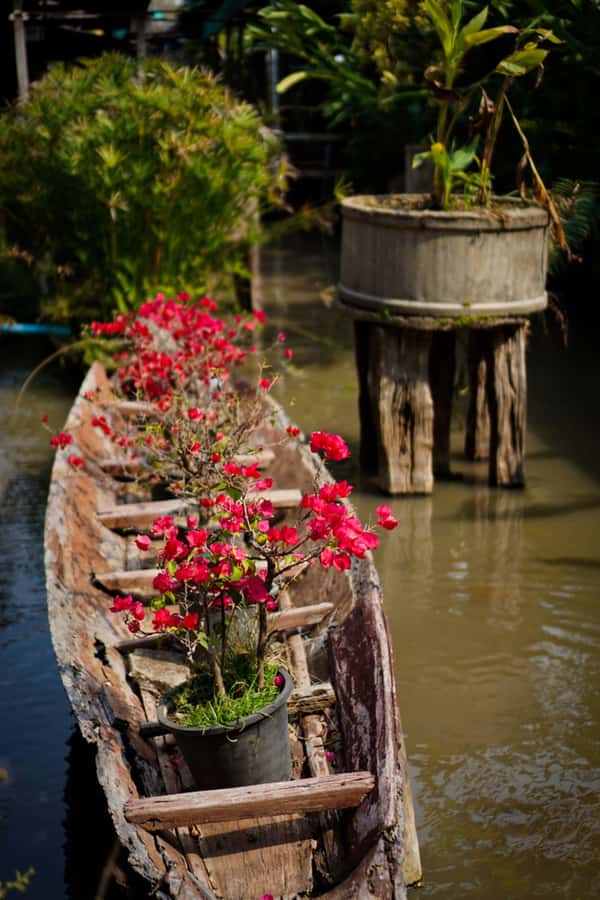 Chiang Mai: Doi Suthep, Orchid Farm and Waterfall with Lunch - Who will enjoy this day most