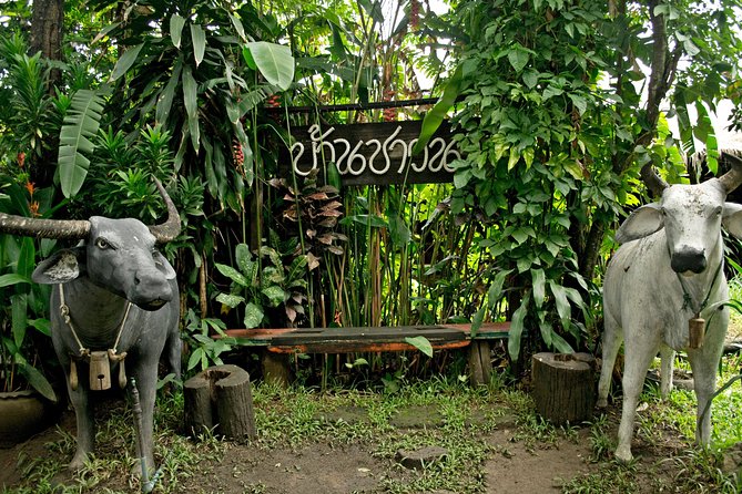Chiang Mai Farm Life & Khao Soy Tasting on a Half-Day Boat Tour - A gentle 45-minute ride on the Mae Ping