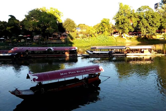 Chiang Mai Farm Life & Khao Soy Tasting on a Half-Day Boat Tour - Herbal drinks, fruit, and the main meal
