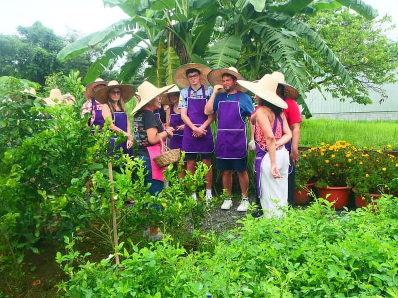 Chiang Mai: Full-Day Thai Cooking Experience at a Local Farm - From Chiang Mai Old City to the farm