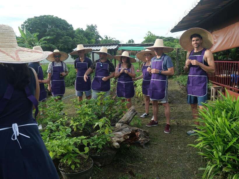 Chiang Mai: Half Day Cooking Class at Organic Farm - Five useful things to know before booking