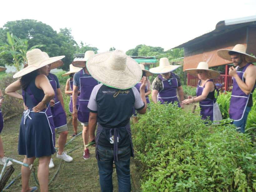 Chiang Mai: Half Day Cooking Class at Organic Farm - Recipes, photos, and what you take home