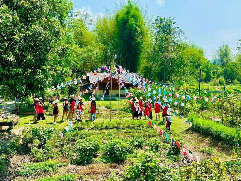 Chiang Mai: Half Day Cooking Class at Organic Farm - Start at the local market, not the kitchen