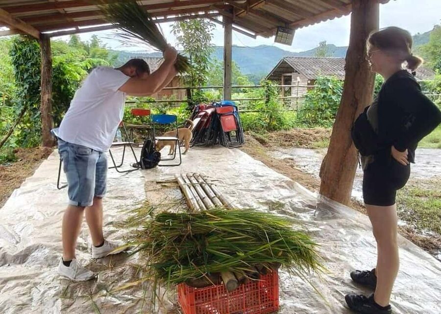 Chiang Mai: Half-Day Rice Farming Experience - Why this Chiang Mai rice tour feels different