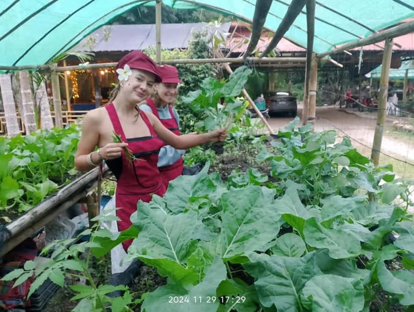 Chiang Rai:Lanna Home Cooking Class at Give Green Farm House - Choose a Thai food theme