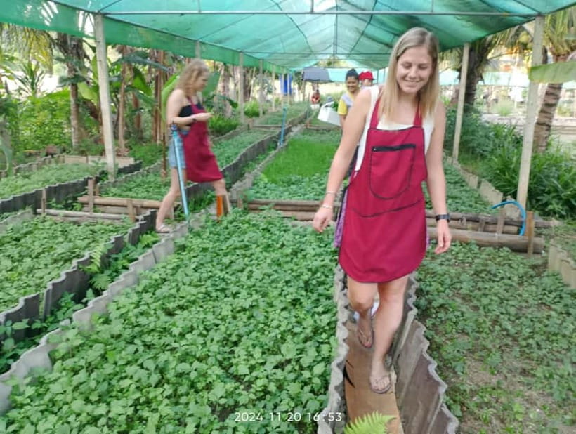 Chiang Rai:Lanna Home Cooking Class at Give Green Farm House - Is $56 a fair price?