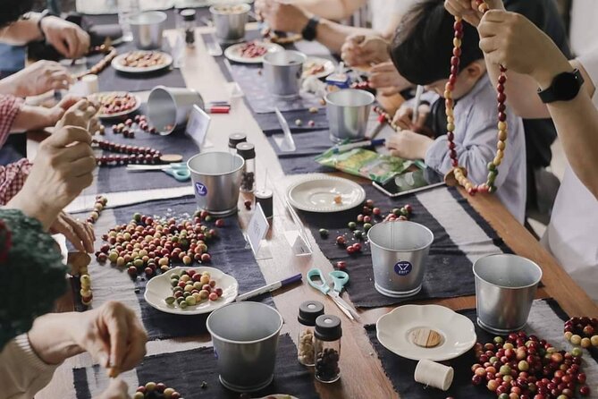 Chiangmai Coffee Farm Tour - Planting a coffee tree