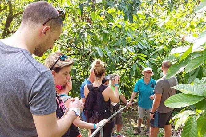 Chocolate and Coffee Tour Farm Don Jorge - What makes this farm tour worth your time