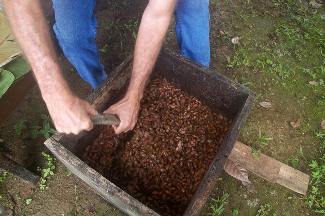 Chocolate and Farm Tour with local Tico family - A small farm visit outside La Fortuna