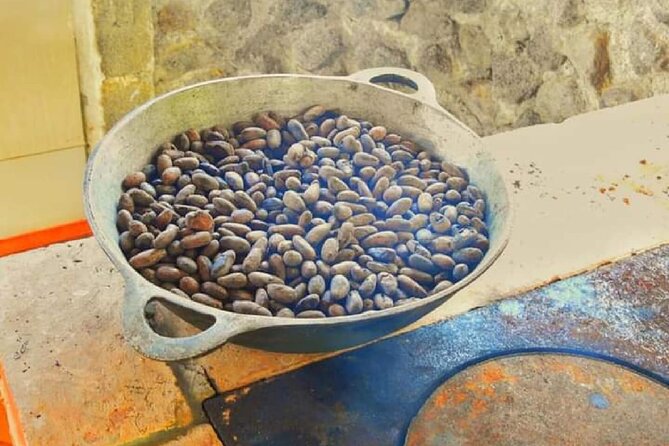Chocolate and Farm Tour with local Tico family - What the family setting adds