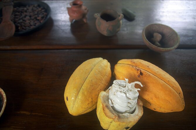 Chocolate and Farm Tour with local Tico family - Ancient-style cacao drinks and Costa Rican hot chocolate