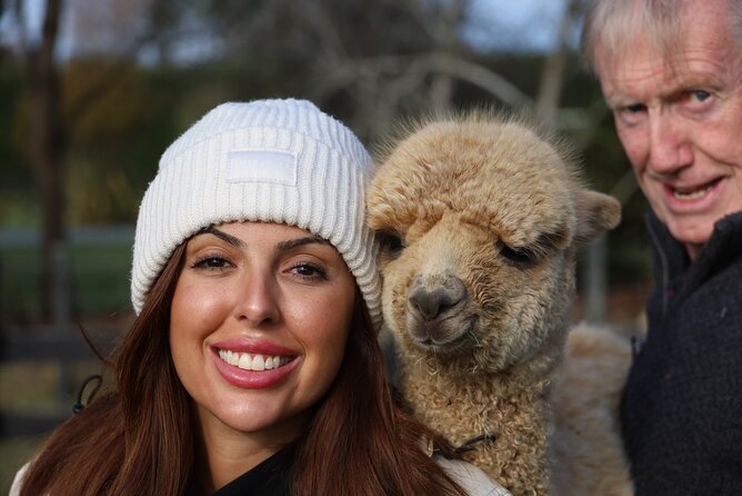 Christchurch Alpaca Farm Tour From Kaiapoi - A close encounter at Clarkville