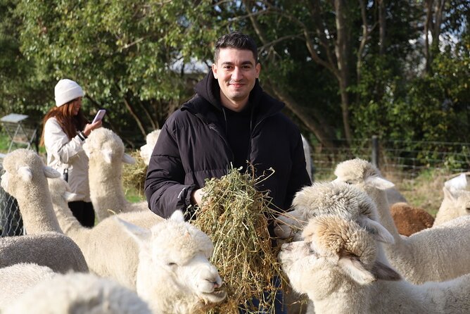 Christchurch Alpaca Farm Tour From Kaiapoi - Kit’s stories make the hour personal
