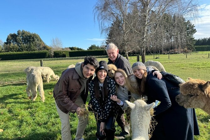 Christchurch Alpaca Farm Tour From Kaiapoi - From the paddock to the fibre shed
