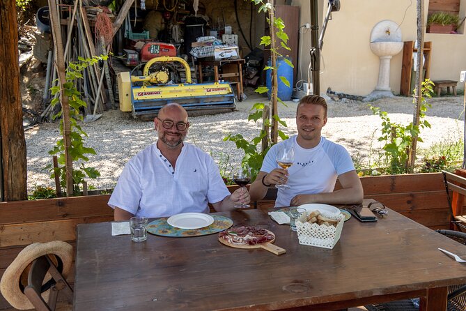 Cinta Senese tour with tasting dinner on the farm - Walking among the vineyard and olive grove