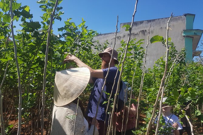 Coffee & Culture Experience _From Farm to Cup by Elon Farm - Seeing Coffee Plants Before the Cup