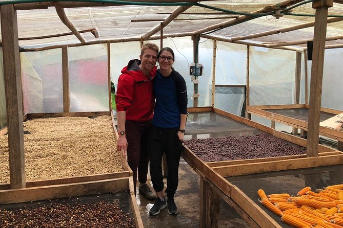 Coffee Farm and Salento Walking Tour - Best for couples, friends, and curious first-time visitors