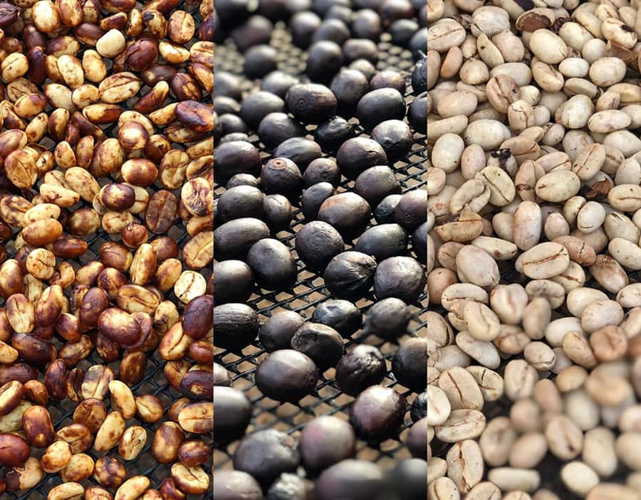 Coffee Farm and Salento Walking Tour - Salento adds a one-hour town walk