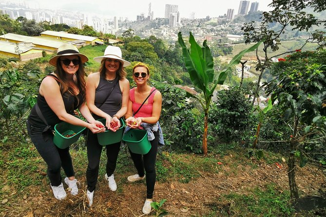 Coffee Farm & ATVs Private Tour in Medellin: Stunning Views & Fun - Why this Medellín day trip works so well