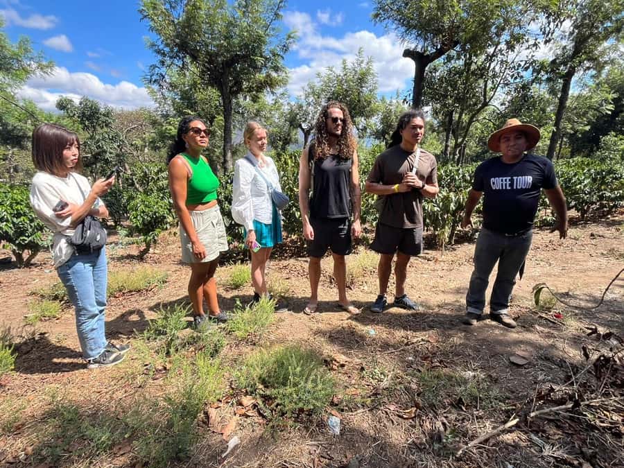 Coffee farm experience - Five things to know before you go