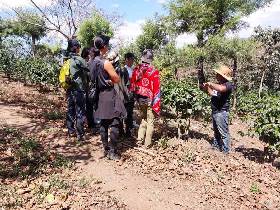 Coffee farm experience - Guatemala’s eight coffee regions in one clear lesson