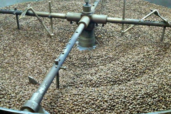 Coffee Farm Experience Private Day Tour - What the day from Bogotá actually feels like