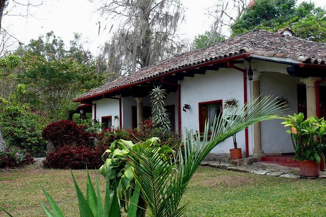 Coffee Farm Experience Private Day Tour - Coffee tasting and coffee liquor