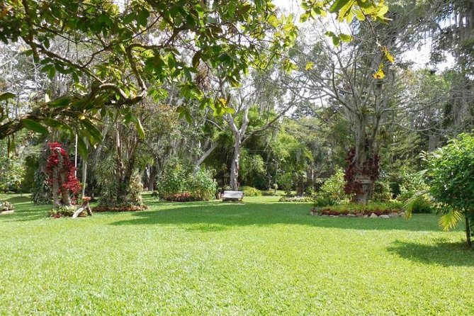 Coffee Farm Experience Private Day Tour - Should you add the Colombian lunch?