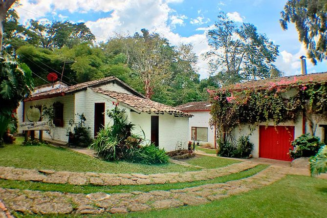 Coffee Farm Experience Private Day Tour - Private transport and the value of the price