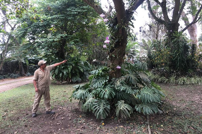 Coffee Farm Experience Private Day Tour - The guides can shape the whole day