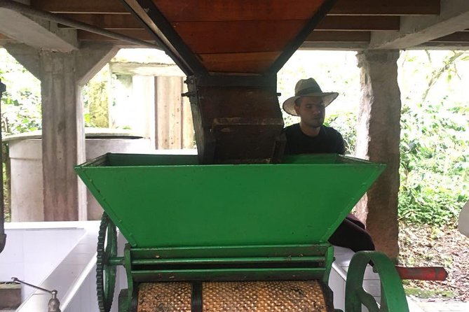 Coffee Farm Experience Private Day Tour - Who should book this coffee farm tour?