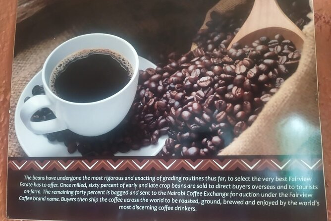 Coffee Farm Half-Day Tour in Kenya - Why the private format can improve the visit