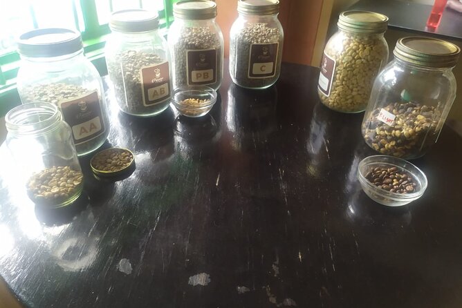 Coffee Farm Half-Day Tour in Kenya - Best for a post-safari change of pace
