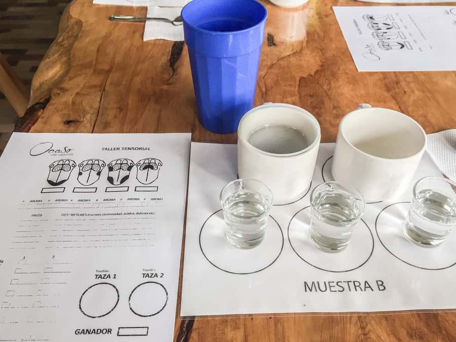 Coffee Farm Tour at Finca El Ocaso from Salento - Practical tips for a smoother visit
