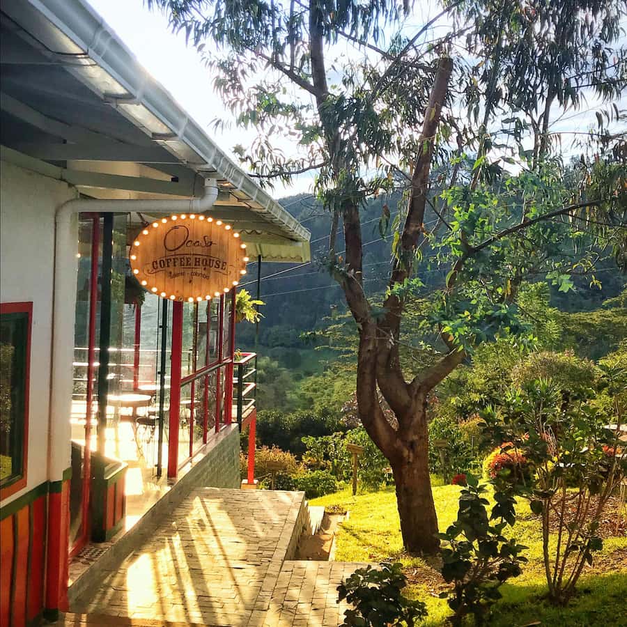 Coffee Farm Tour at Finca El Ocaso from Salento - Tasting coffee with more attention